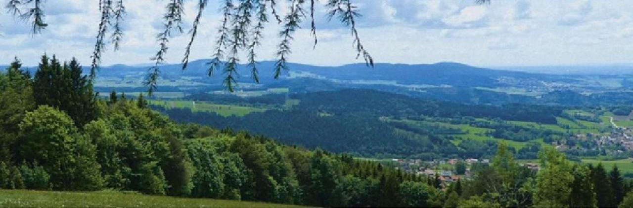 Traumblick Bayerischer Wald, Pool & Sauna, Getraenke, Klimaanlage Фрайунґ Екстер'єр фото
