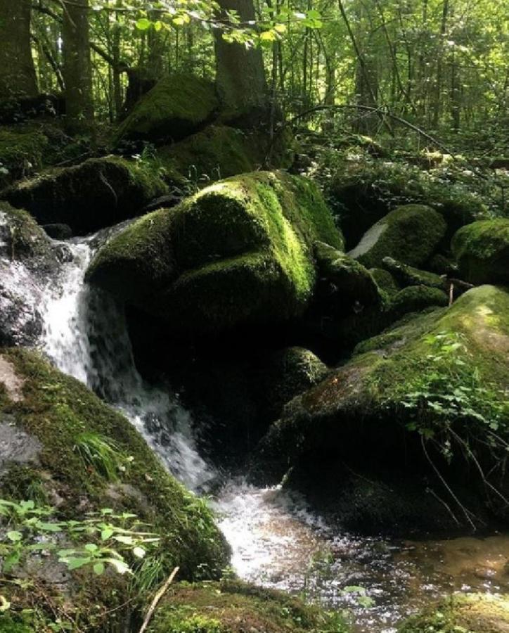 Traumblick Bayerischer Wald, Pool & Sauna, Getraenke, Klimaanlage Фрайунґ Екстер'єр фото